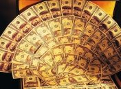 Американец завещал незнакомой собаке миллион