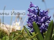 У кого сегодня день ангела: значение имени и красивые СМС поздравления