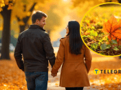 Колаж "Телеграф"