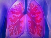 Как оздоровить легкие: самые полезные продукты