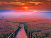 Страна утренней свежести: фотопутешествие в Южную Корею