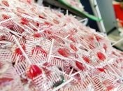 Леденец спасет от токсикоза