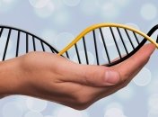 Ученые заявили о рождении генетически модифицированных близнецов