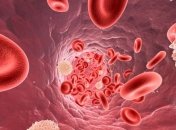 Как повысить количество лейкоцитов в крови