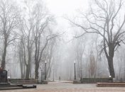В ближайшие дни в Украине ожидается опасный туман 