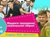 Украина проведет открытую тренировку в Харькове накануне матча с Литвой