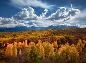 Приближается потепление