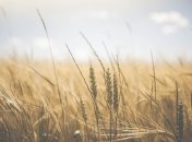 17 июля - праздник, что категорически запрещено делать, главные приметы