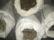 На Ровенщине полицейские в "BMW" обнаружили более 90 килограммов янтаря