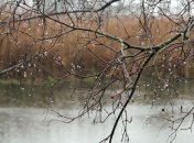 Прогноз погоды в Украине на 2 декабря: ожидается дождливая погода, местами снег