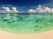 Ученые из Швеции начали уникальный эксперимент