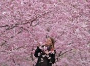 Гороскоп Друидов