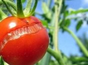 Открытые источники