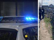 ДТП в Княжичах