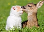 30 июля 2015, примета дня. Давайте жить дружно