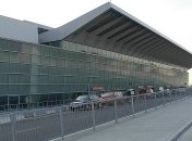 Куда собирались улететь кабаны?