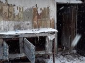 Трупы по всему двору: на Киевщине задержали убийц кошек и собак