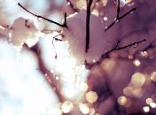 В Украине сегодня потеплеет