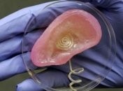 На 3D-принтере напечатали ухо с живыми клетками