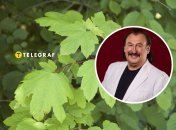 Степан Гига впервые исполнил "Яворину" в 1995 году