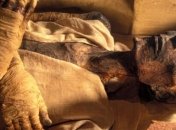 Какие тайны скрывает рецепт мумификации?