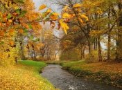 Погода в Украине на сегодня: тепло возвращается в страну