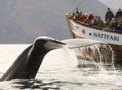 Новый вид развлечения в сфере туризма (Фото)