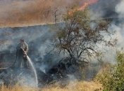 Премьер с самолета осмотрел место пожара в Херсонской области