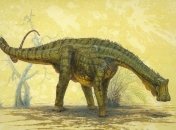 Возможно, имя нигерзавра тоже кто-то найдет "неуместным"