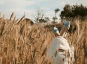 29 мая - последний срок, когда можно сеять хлебные злаки