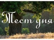 Гадание по картинке