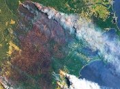 Австралия в огне: дым уже достиг Южной Америки