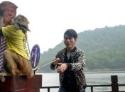 Обезьяна предсказала победу Трампу (Видео)