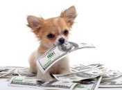 Позитивний астропрогноз для Овнів та Водоліїв