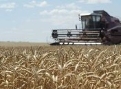 В Украине идет уборка зерновых
