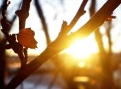 Прогноз погоды в Украине на 24 марта: солнечно почти во всей стране