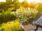 11 июня. Приметы дня