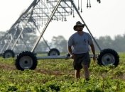 Соя защищает от сердечно-сосудистых заболеваний