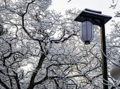 10 февраля - приметы и обряды в Ефремов день