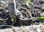 Самый активный и ответственный май: благоприятные дни для огородника на месяц