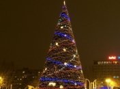 В Запорожье установлена новогодняя елка