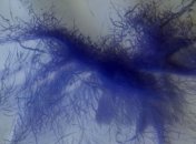 Спутник снял "синюю" структуру пыльных вихрей на Марсе