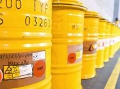 ВР установила срок переработки ядерных отходов за пределами Украины