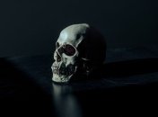 У человеческого черепа найдено золотое сечение: ученые удивляют своим открытием (Фото)