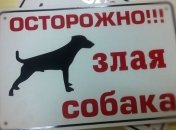 В Харьковской области собака загрызла 4-летнего мальчика