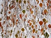 В Украине установились холода: синоптики обещают до 10 градусов мороза 