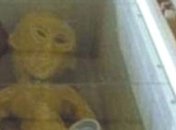 Житель Китая нашел ''инопланетянина'' и разместил его фото в Сети