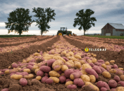 Урожай важливо зберегти