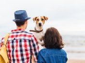 Вывезти домашних животных может быть проблемно