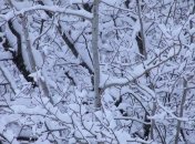 Сегодня по всей Украине снег